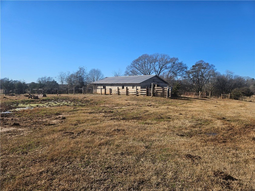 large cattle farm that is well over 100 acres. This property - photo 19