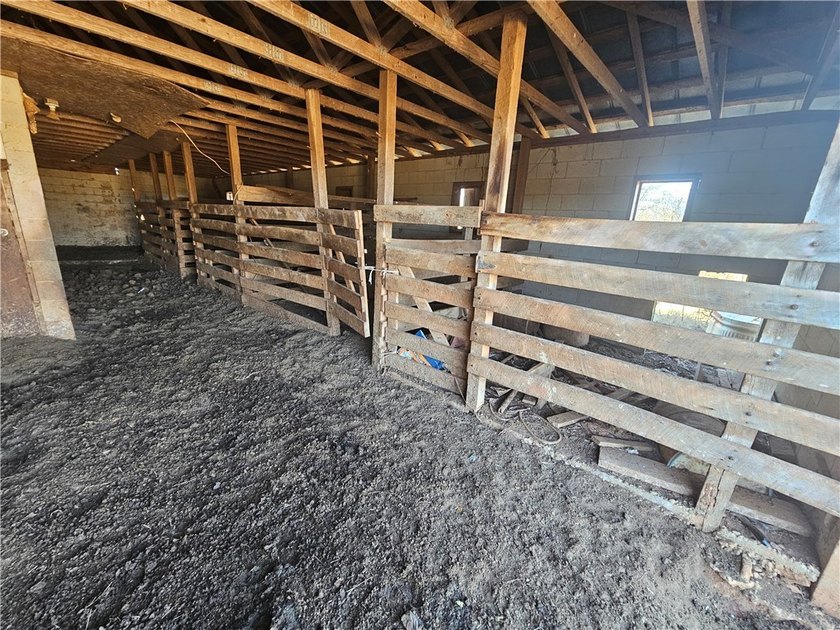 large cattle farm that is well over 100 acres. This property - photo 21