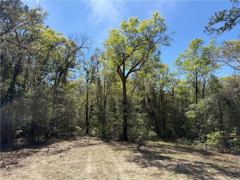 This is an excellent opportunity to own a great residential lot - photo 3