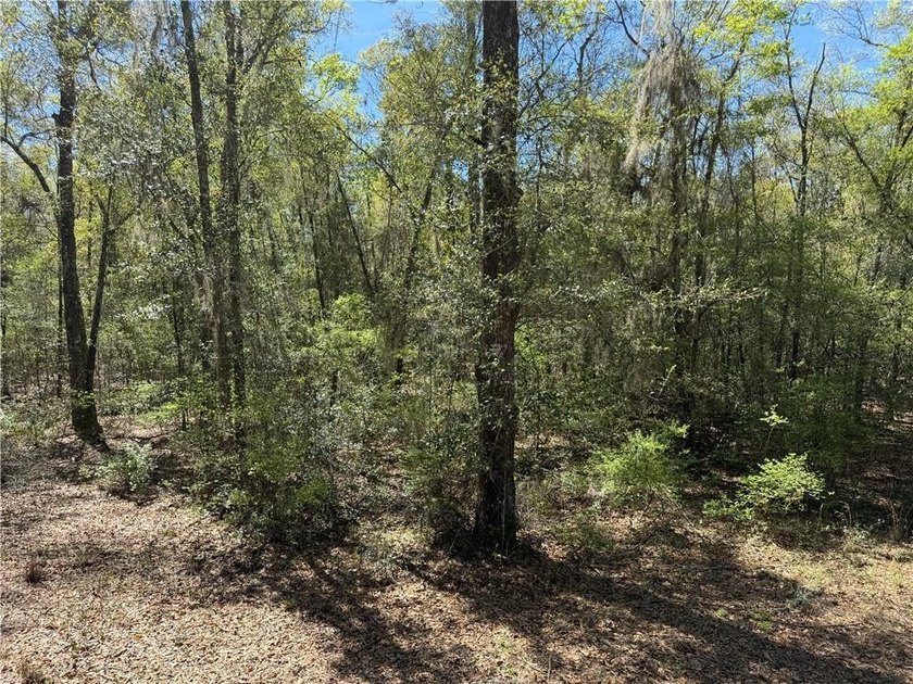 This is an excellent opportunity to own a great residential lot - photo 8