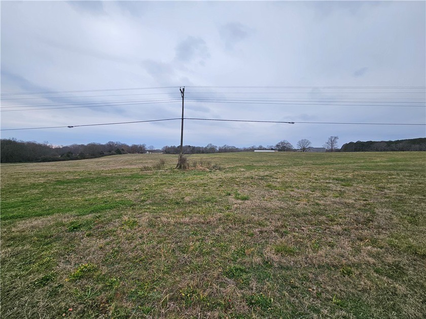 Very open unrestricted land with some mixed hardwoods. Property - photo 12
