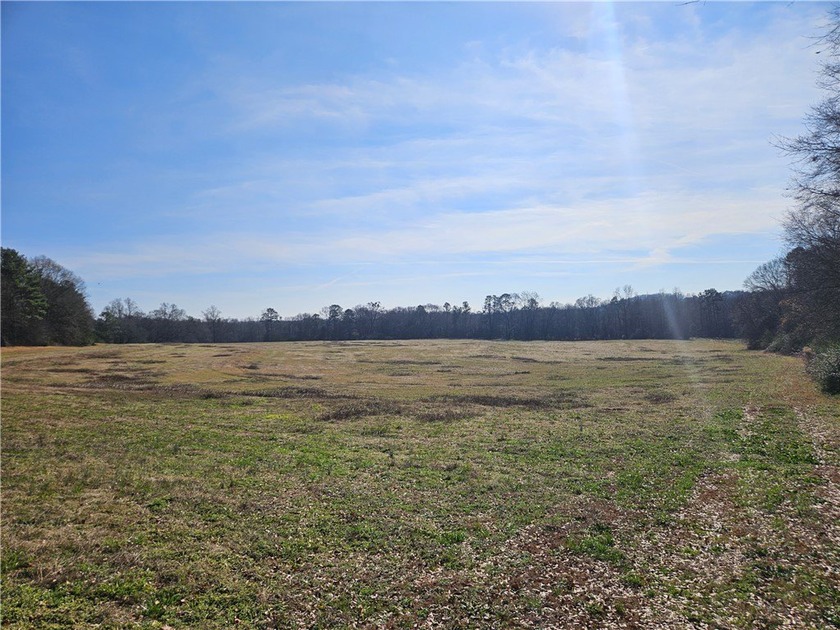 Very open unrestricted land with some mixed hardwoods. Property - photo 13
