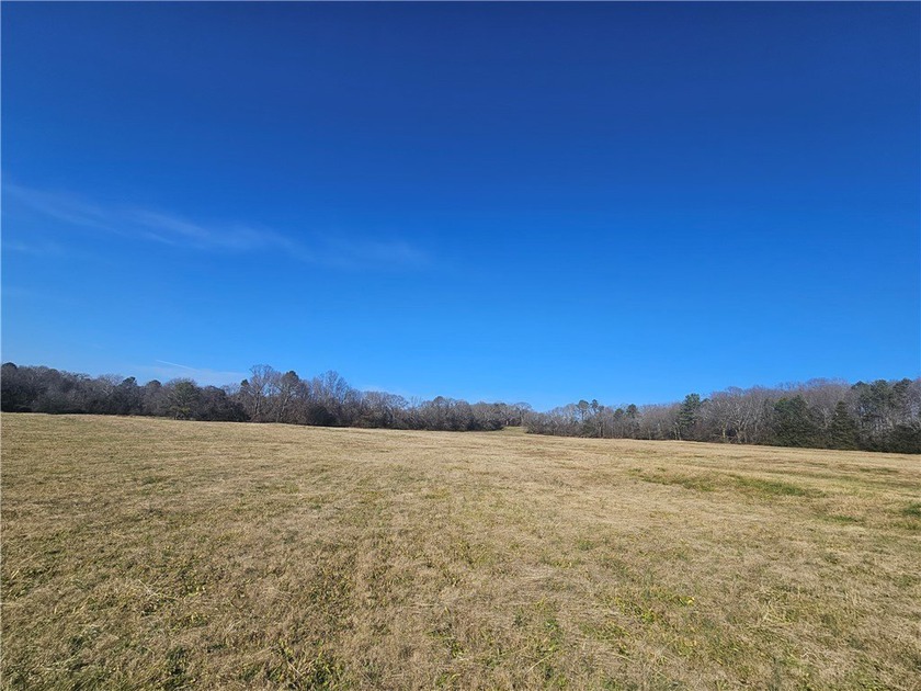 Very open unrestricted land with some mixed hardwoods. Property - photo 14