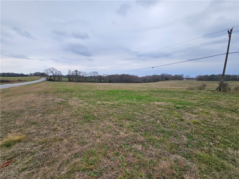 Very open unrestricted land with some mixed hardwoods. Property - photo 15