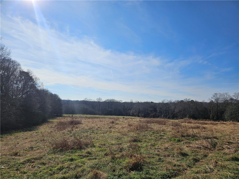 Very open unrestricted land with some mixed hardwoods. Property - photo 16