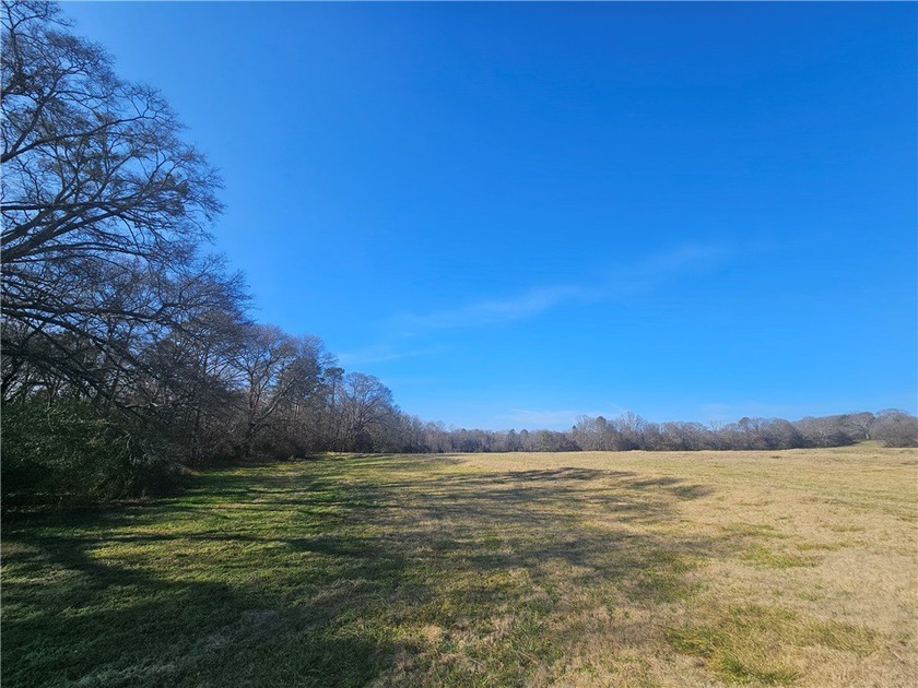 Very open unrestricted land with some mixed hardwoods. Property - photo 17