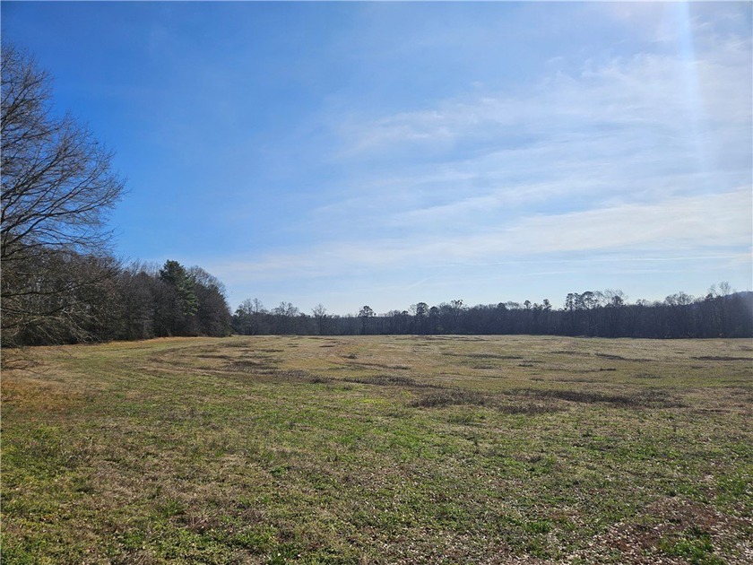 Very open unrestricted land with some mixed hardwoods. Property - photo 18