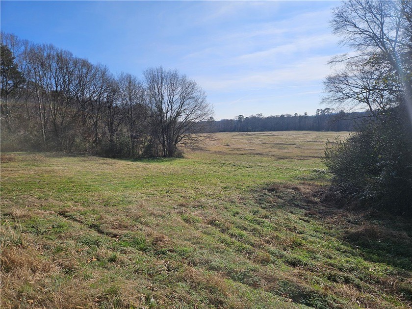 Very open unrestricted land with some mixed hardwoods. Property - photo 19