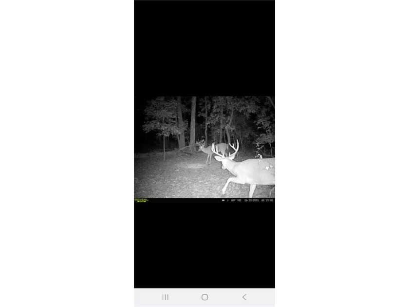 Very open unrestricted land with some mixed hardwoods. Property - photo 22