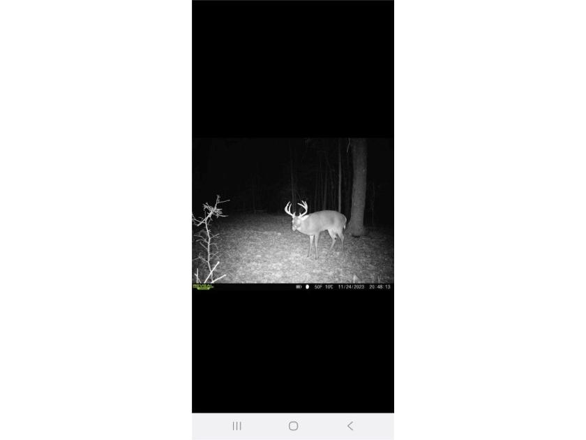 Very open unrestricted land with some mixed hardwoods. Property - photo 26