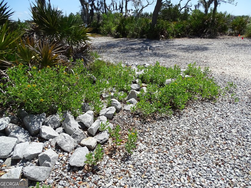 Build your coastal dream home on this spacious 1.46-acre - photo 27