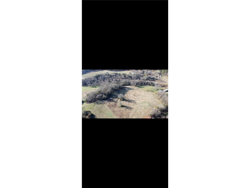 Very open unrestricted land with some mixed hardwoods. Property - photo 34