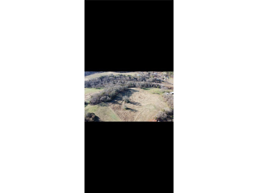 Very open unrestricted land with some mixed hardwoods. Property - photo 35