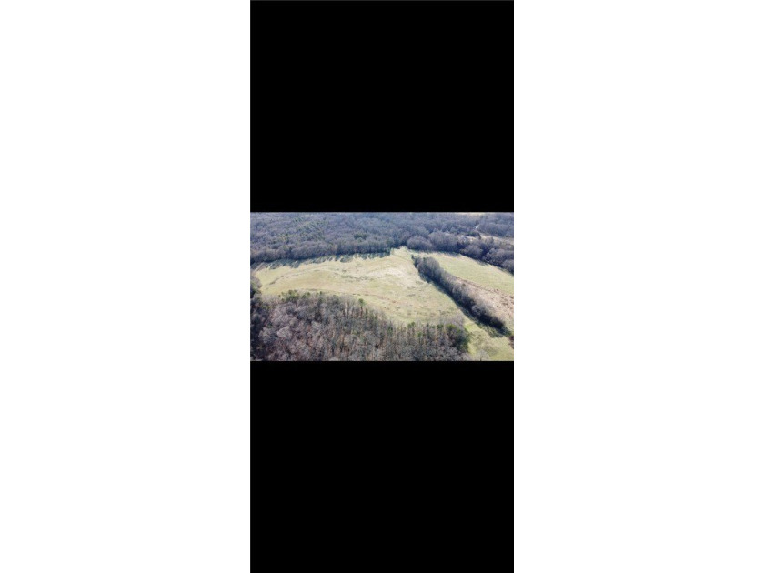 Very open unrestricted land with some mixed hardwoods. Property - photo 36