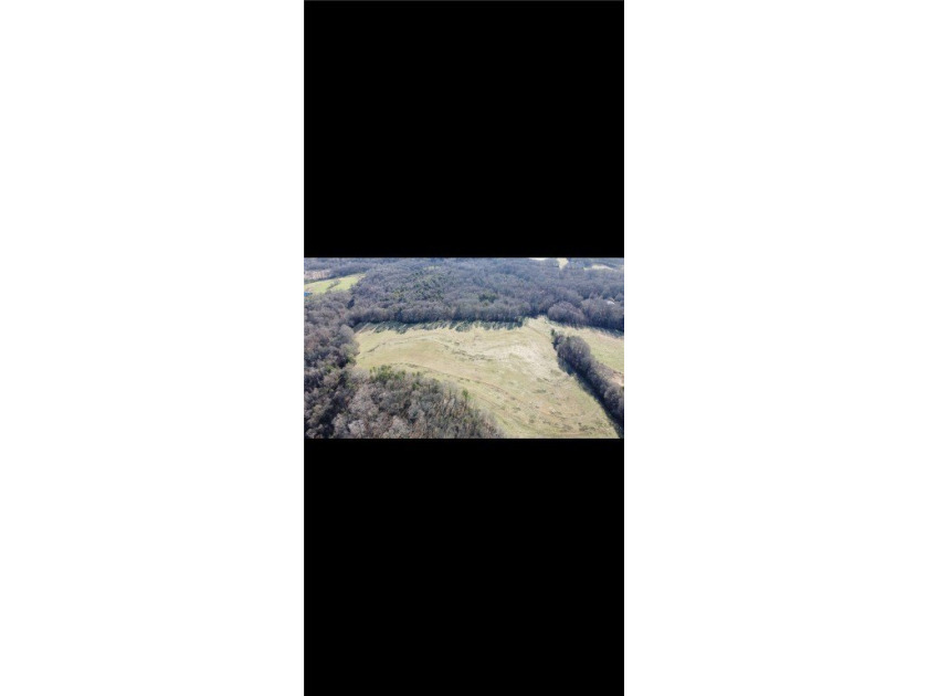 Very open unrestricted land with some mixed hardwoods. Property - photo 37