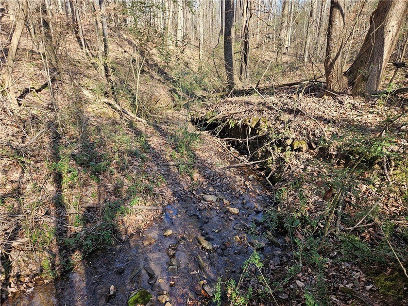 Unrestricted land with almost 4 acres of pasture for building a - photo 11