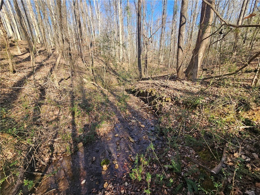 Unrestricted land with almost 4 acres of pasture for building a - photo 12