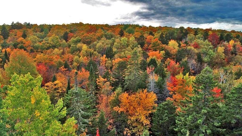 Land In Maine For Low Cost Vacation Getaways. Work, Work Some - photo 13