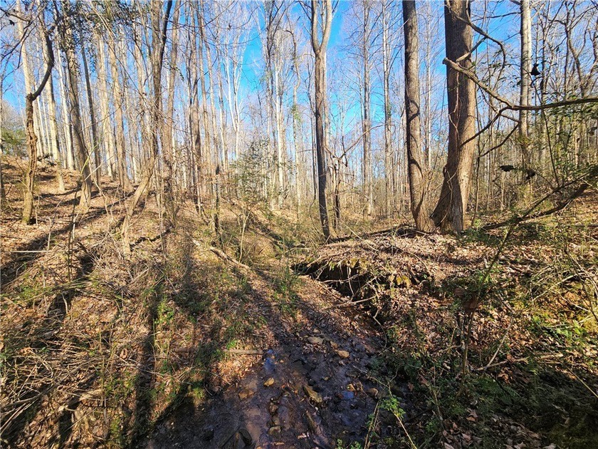 Unrestricted land with almost 4 acres of pasture for building a - photo 13