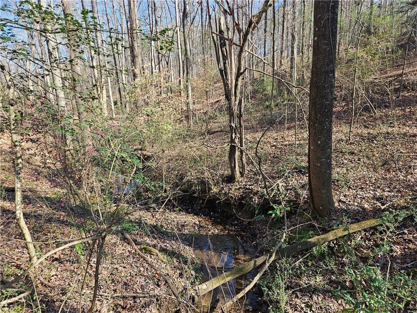 Unrestricted land with almost 4 acres of pasture for building a - photo 14