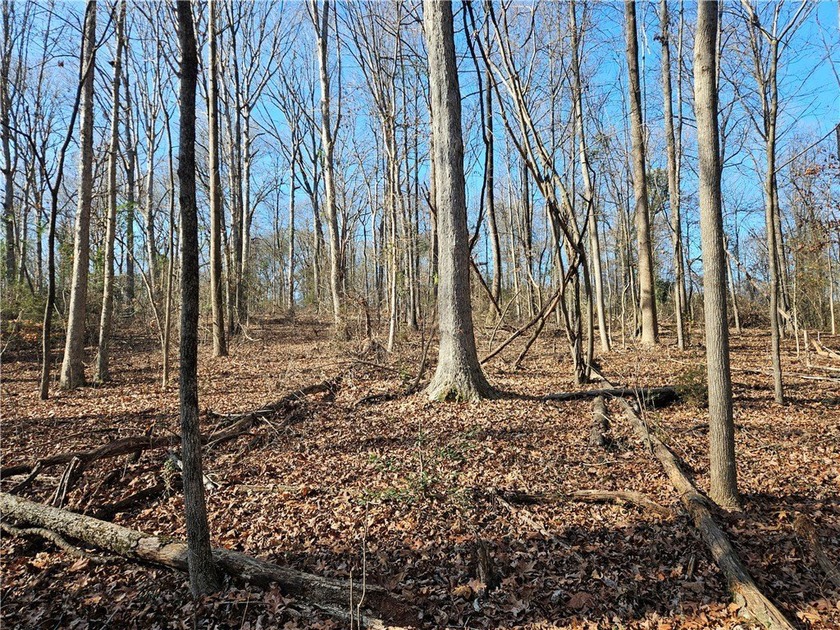 Unrestricted land with almost 4 acres of pasture for building a - photo 16