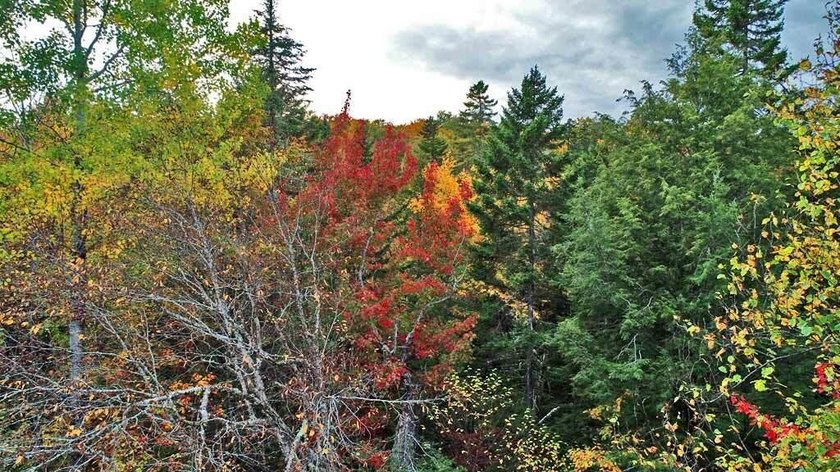 Land In Maine For Low Cost Vacation Getaways. Work, Work Some - photo 17