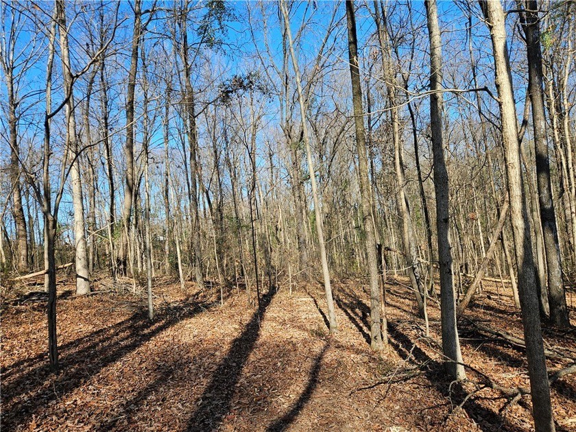 Unrestricted land with almost 4 acres of pasture for building a - photo 17