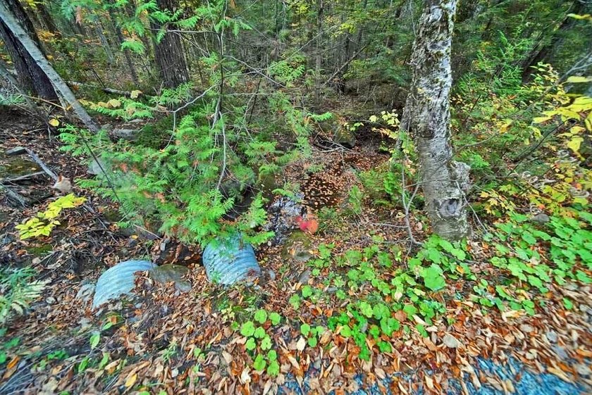 Land In Maine For Low Cost Vacation Getaways. Work, Work Some - photo 18