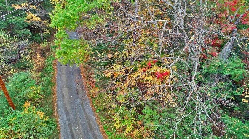 Land In Maine For Low Cost Vacation Getaways. Work, Work Some - photo 19