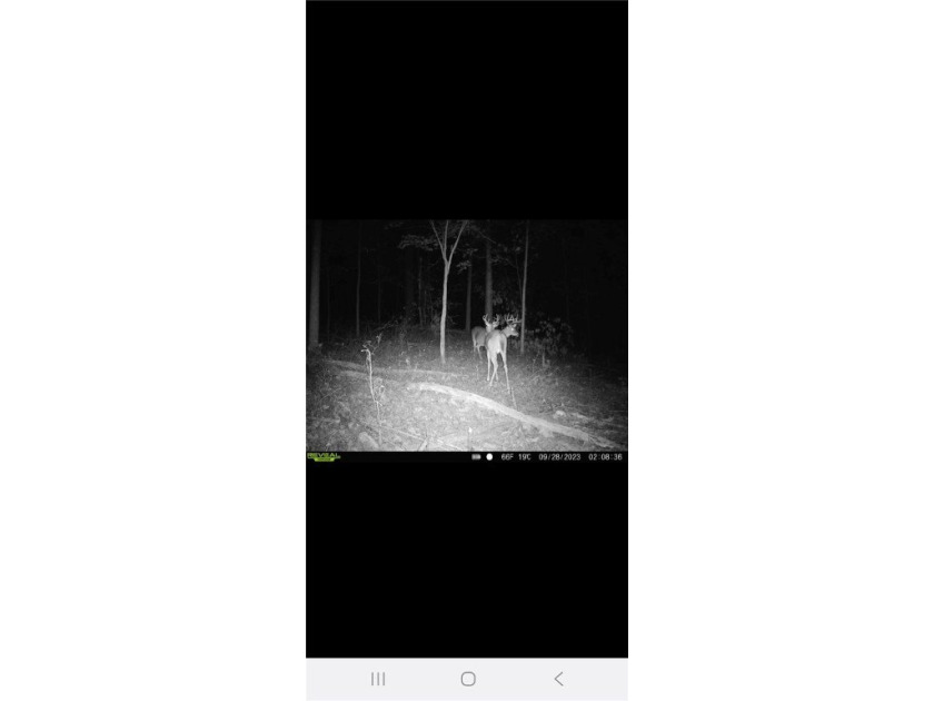 Unrestricted land with almost 4 acres of pasture for building a - photo 19