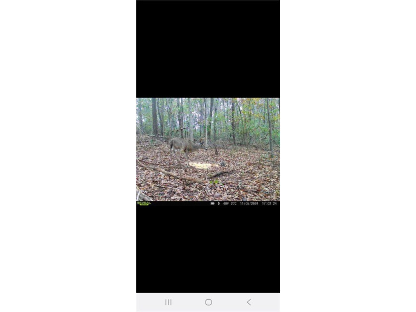 Unrestricted land with almost 4 acres of pasture for building a - photo 21