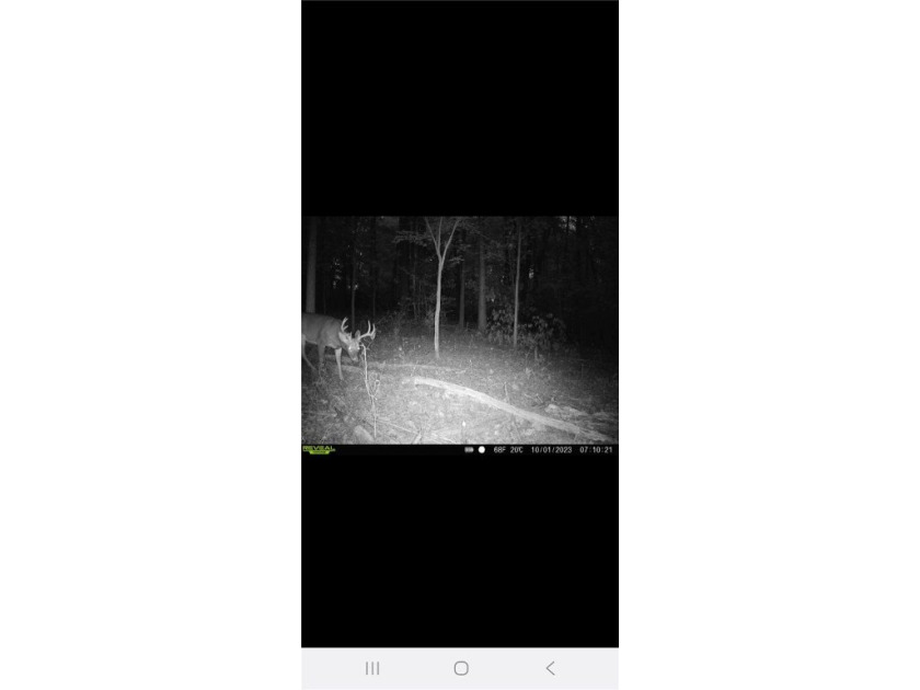 Unrestricted land with almost 4 acres of pasture for building a - photo 22