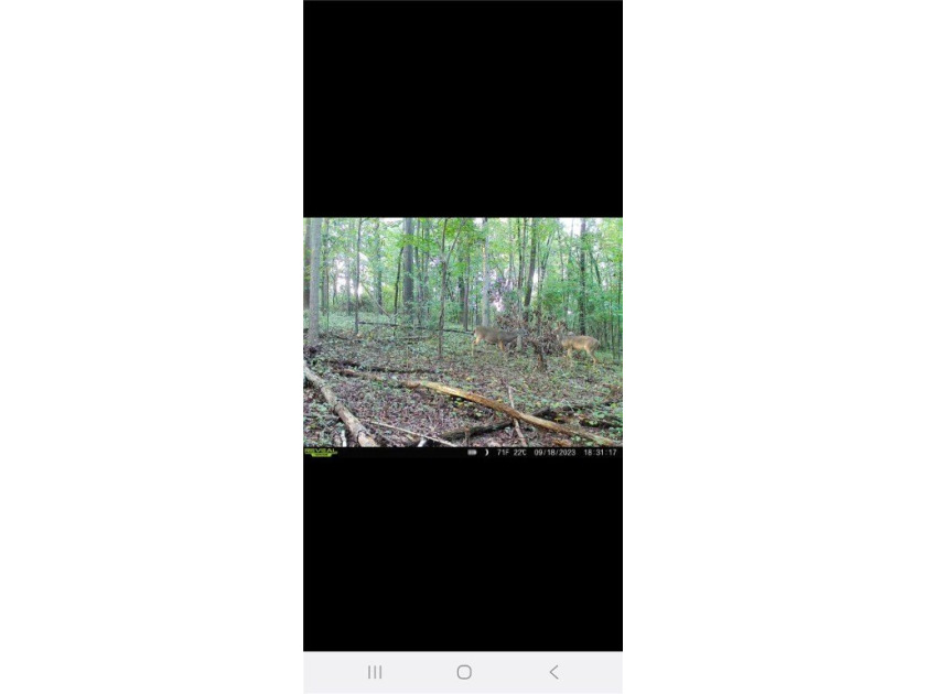 Unrestricted land with almost 4 acres of pasture for building a - photo 24