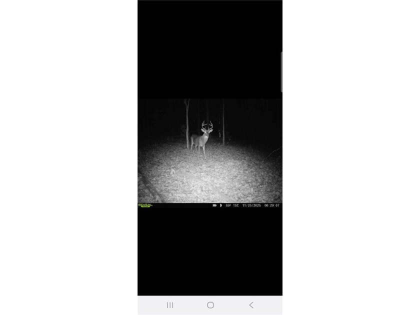 Unrestricted land with almost 4 acres of pasture for building a - photo 25