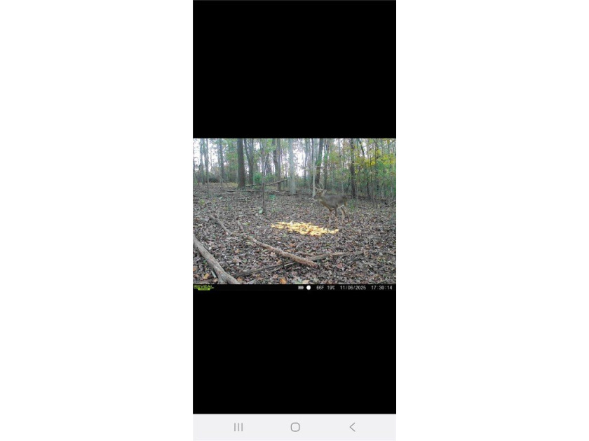 Unrestricted land with almost 4 acres of pasture for building a - photo 26