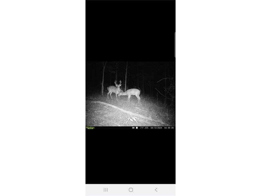 Unrestricted land with almost 4 acres of pasture for building a - photo 28