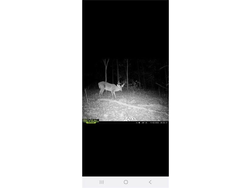 Unrestricted land with almost 4 acres of pasture for building a - photo 30