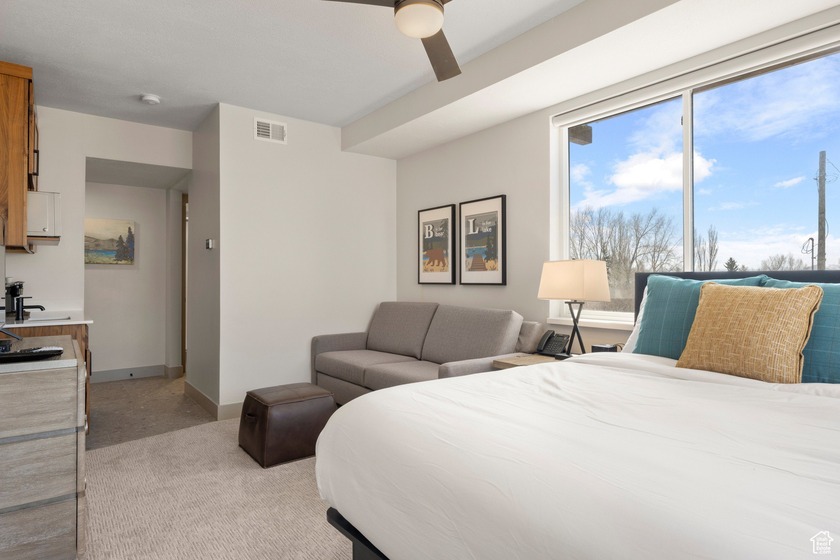 Modern Luxury Condo Near Bear Lake Short term rental Approved - photo 42