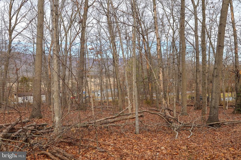 Discover the possibilities on Riverbend Drive. Tucked within a - photo 31