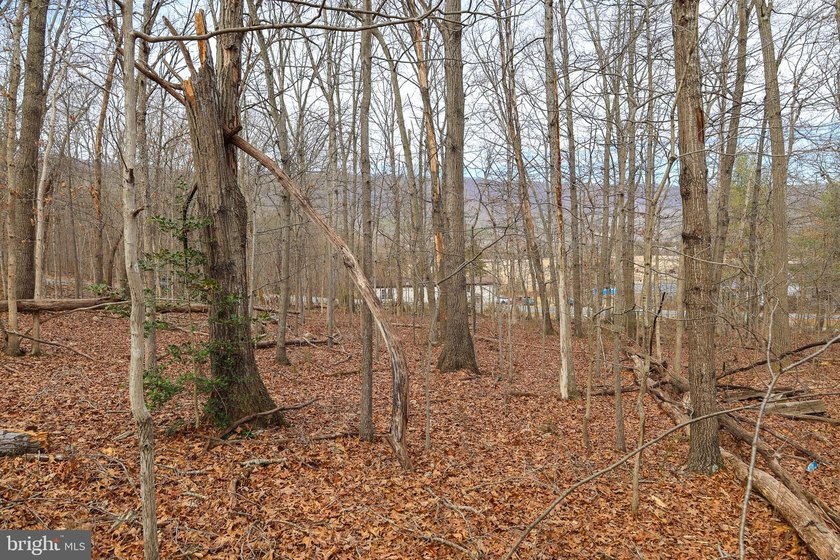 Discover the possibilities on Riverbend Drive. Tucked within a - photo 33