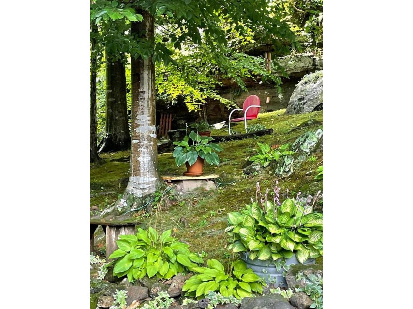 Cozy cottage located at Lake Malone !! This rare find has 3 - photo 34