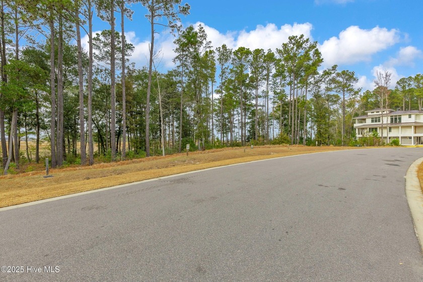 This 4+ acre homesite offers the perfect setting to create your - photo 15