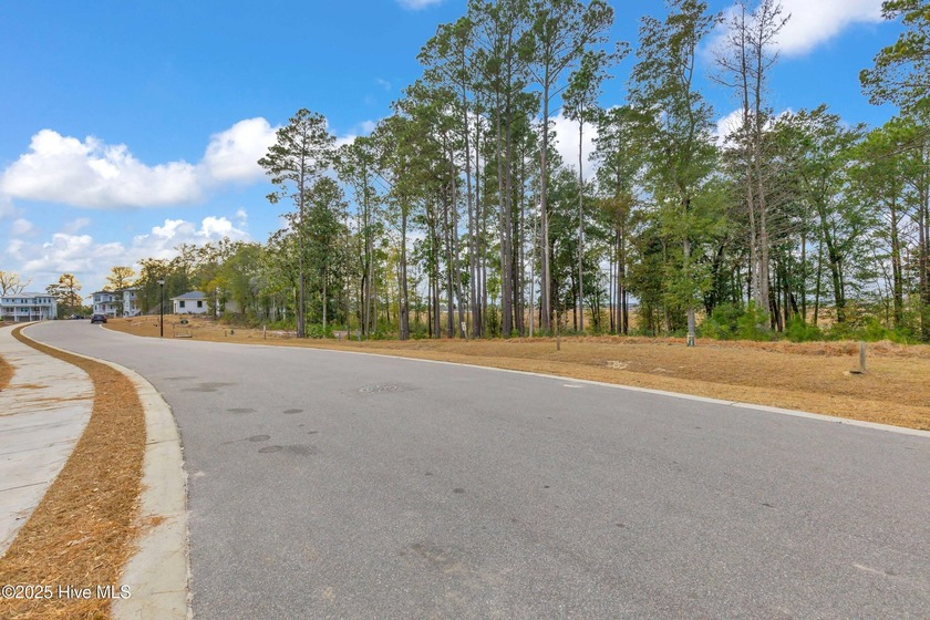 This 4+ acre homesite offers the perfect setting to create your - photo 16