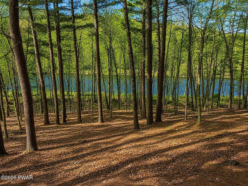 WAKE TO STUNNING RIVER VIEWS EVERY DAY! 1 acre Lot with Stunning - photo 3