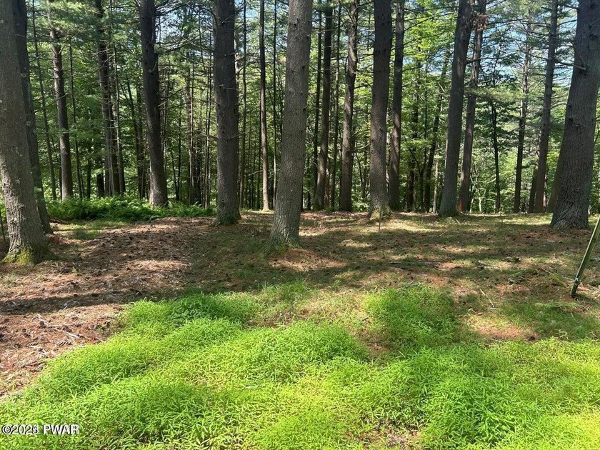 Lackawaxen River View Building Site - Your Dream Awaits! Imagine - photo 2