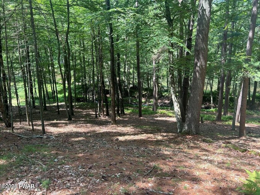 Lackawaxen River View Building Site - Your Dream Awaits! Imagine - photo 8