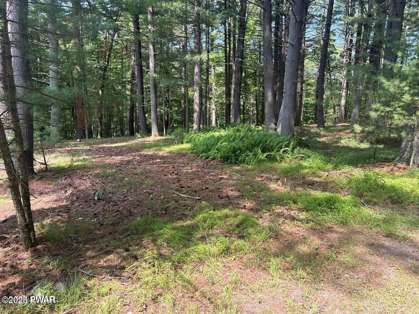 Lackawaxen River View Building Site - Your Dream Awaits! Imagine - photo 9