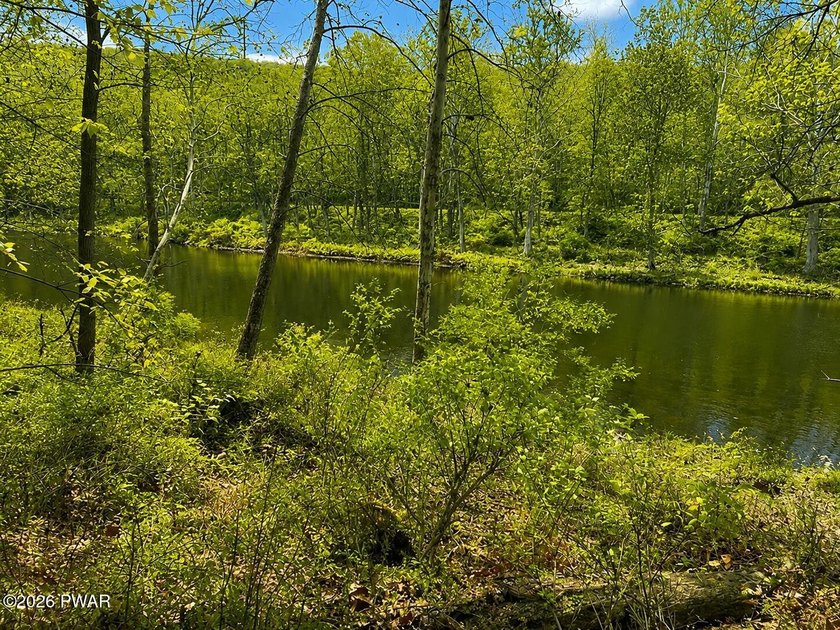 STUNNING DOUBLE LOT OVERLOOKING LACKAWAXEN RIVER- FANTASTIC - photo 4