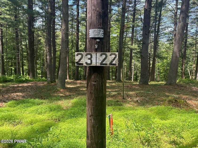 STUNNING DOUBLE LOT OVERLOOKING LACKAWAXEN RIVER- FANTASTIC - photo 5