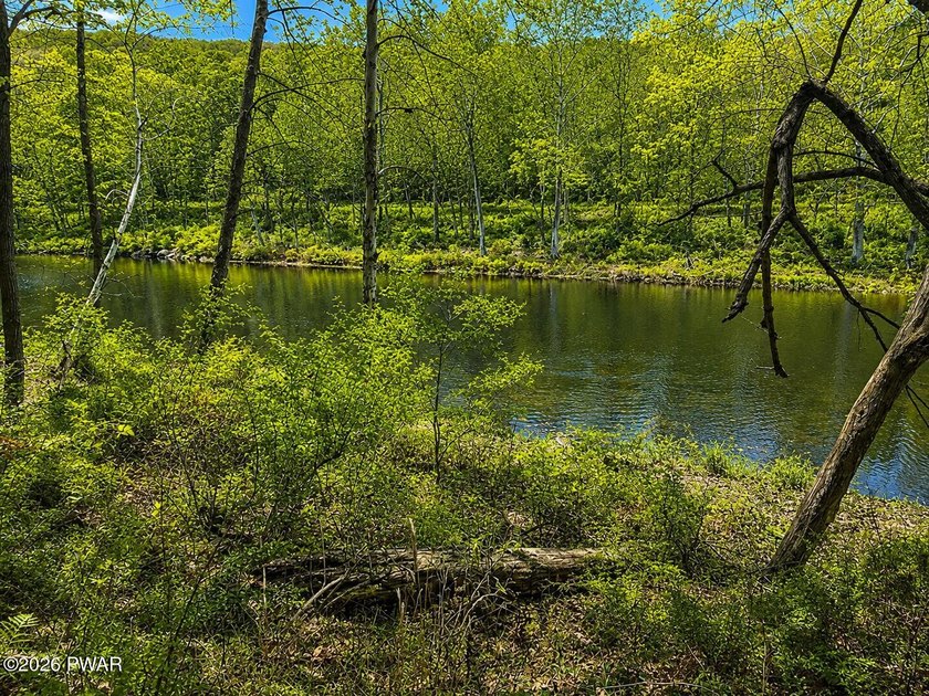 STUNNING DOUBLE LOT OVERLOOKING LACKAWAXEN RIVER- FANTASTIC - photo 9